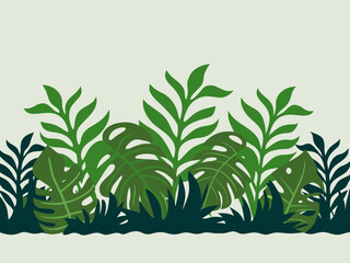 Monstera vector illustration of a green plant