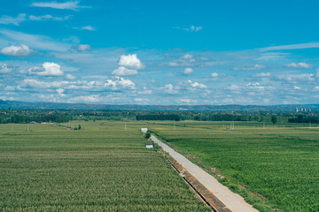 panoramic view of the forest and field