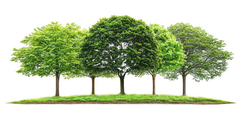 Obraz premium Five Lush Green Trees Standing on a Grassy Mound with Transparent Background blur real isolated on a transparent background