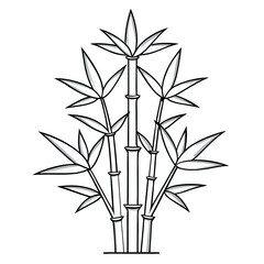 Fototapeta premium bamboo ,illustration outline isolated on white background