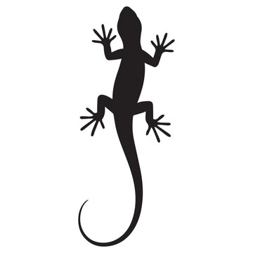 A stark black silhouette of a gecko lizard with its body elongated and tail curled against a pure white background