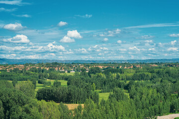 Naklejka premium panoramic view of the forest and field