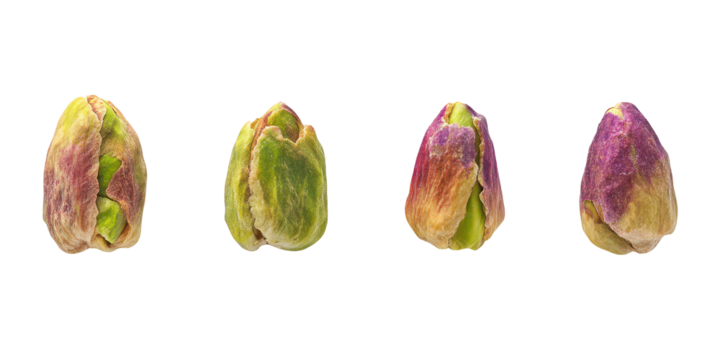 Four Pistachios with Colorful Shells blur real isolated on a transparent background