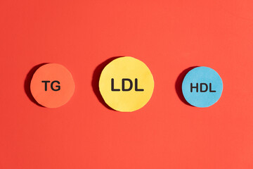 Types of cholesterol include Triglycerides, LDL and HDL particles on red background. High levels of triglycerides combined with high LDL and low HDL cholesterol increase the risk of heart disease.