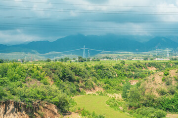 panoramic view of the forest and field