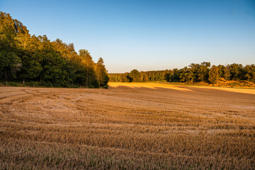 Fototapeta premium autumn landscape in the countryside