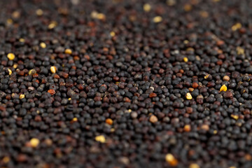a large number of black rapeseed are used to produce rapeseed oil, black rapeseed is used to produce food products