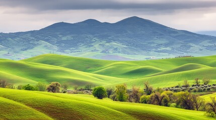 Fototapeta premium Rolling hills covered with wildflowers under bright spring sky, high-resolution rural seasonal landscape photography