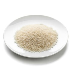 Cooked rice with white plate, and food.