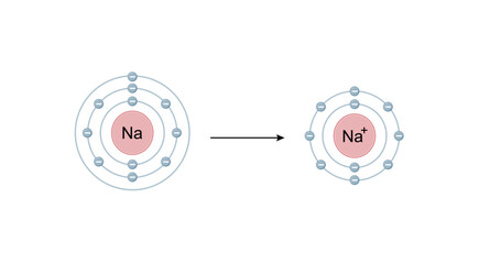 Fototapeta premium Sodium ion. Cation Structure, positively charged ion. Scientific Design. Vector Illustration.