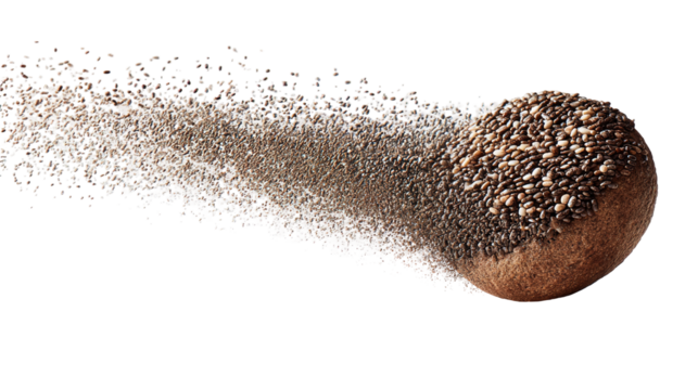 flying chia seed isolated on transparent background Remove png,