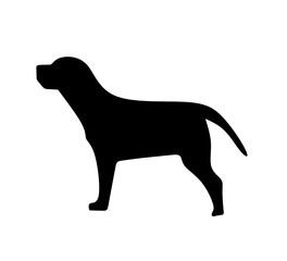 dog icon vector on white background. dog silhouette