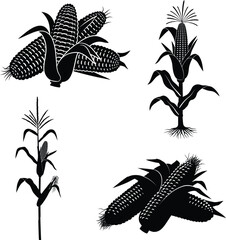 Corn Silhouette Set. Black Maize Cob, Stalk, Husk, and Kernel Graphic