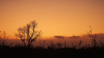 夕映えにささやく秋風