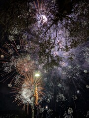 fireworks in the sky