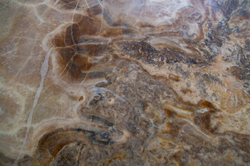 Natural stone surface displays intricate patterns and textures with earthy tones and unique formations, perfect for backgrounds, design projects, and artistic applications in various creative contexts