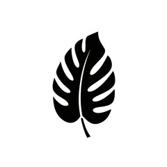 Tropical Monstera Leaf Silhouette Elegant Black and White Botanical Illustration