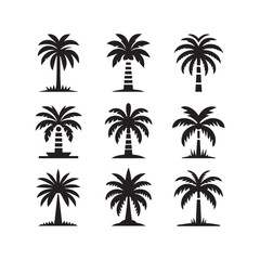 Palm Tree Icon Set – Tropical Silhouette Vector Collection