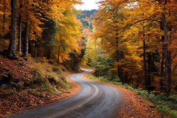 Obraz premium Curvy mountain road through autumn forest with vibrant foliage and wet asphalt. Concept of travel, nature, and scenic drives
