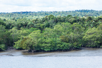 Lush green riverbanks near Buenaventura, Colombia, with dense tropical vegetation. 