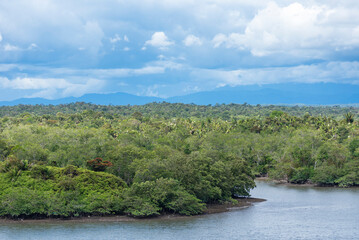 Lush green riverbanks near Buenaventura, Colombia, with dense tropical vegetation. 