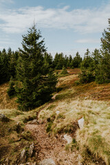 Tanet Berg im  Herbst in den Vogesen am Altrhein in Frankreich