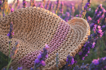 Straw hat resting in a field of lavender flowers. Close-up of a woven straw hat nestled among vibrant purple lavender blossoms, capturing a sense of tranquility, summertime. Romantic trip to Provence.