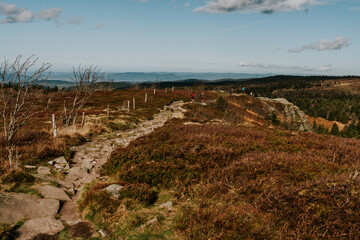 Tanet Berg im  Herbst in den Vogesen am Altrhein in Frankreich