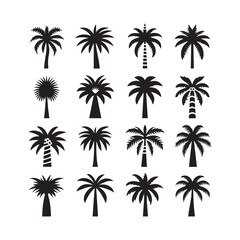 Obraz premium Palm Tree Icon Set – Tropical Vector Illustrations Collection