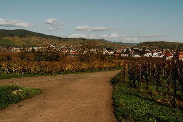 Herbst in den Weinbergen in Orbey in den Vogesen