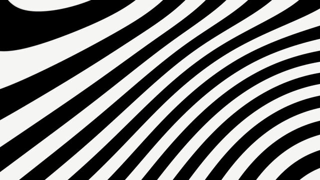 Paints zebra animated VJ loop background