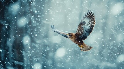 Majestic Raptors Graceful Flight Through a Swirling Blue Winter Snowstorm.
