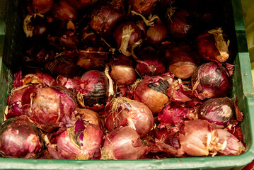 Onion in basket at grocery store, fruits and vegetables are sold at market