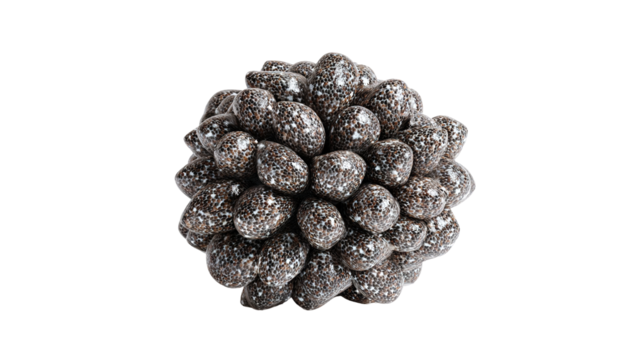 flying chia seed isolated on transparent background Remove png,