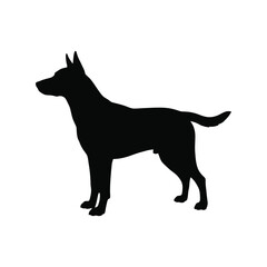 Sleek black silhouette of a german shepherd dog standing alertly vector