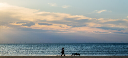 The horizon of Noordwijk beach filled with off shore wind turbines at sunset; occasional people walking their dogs along the surf