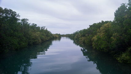 A photograph of the Kalibo Bakhawan Ecopark or Mangrove Park. Taken from New Buswang, Kalibo, Aklan, Philippines. 