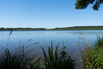 Lac de Soustons Encadré par la Nature – Photographie d’Art Paysagère