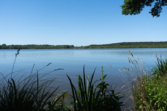 Lac de Soustons Encadr&eacute; par la Nature &ndash; Photographie d&rsquo;Art Paysag&egrave;re