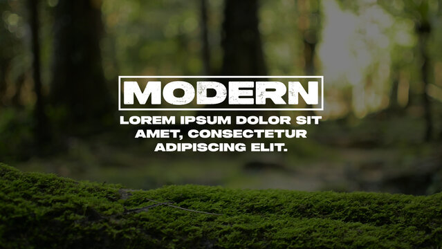 Animated Titles Template