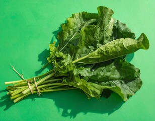 Freshly harvested vibrant collard greens bunch ready for healthy recipes on a bright green surface