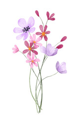 Watercolor flowers decor for stationary, greetings, etc. floral decoration. Hand drawing.	