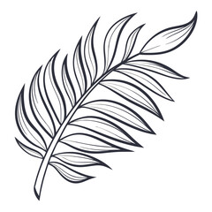 Detailed Vector Illustration of a Tropical Palm Frond for Design