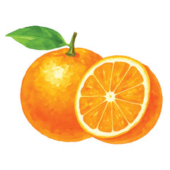 Watercolor Orange Fruit with Slice and Green Leaf Isolated Illustration