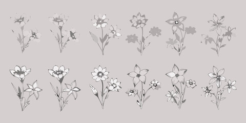 Collection of delicate hand drawn floral illustrations in monochrome grey tones on a neutral background