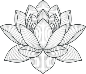 Fototapeta premium Red Phoenix Line Art Vector Illustration