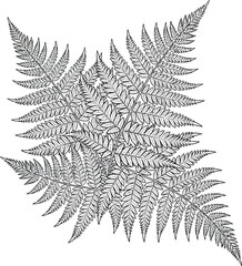 Naklejka premium Succulents in Triangular Pot - Line Art