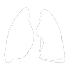 Human lungs in black and white contour drawing, stark contrast against a plain white background, anatomical illustration with clean lines.