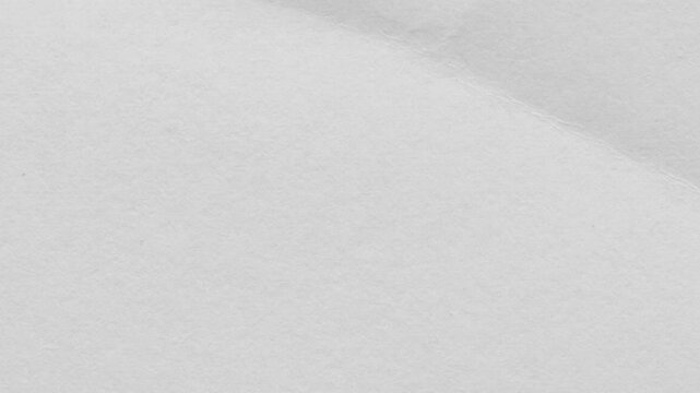 Close up of a crumpled piece of white paper showing texture and subtle shadows across the surface
