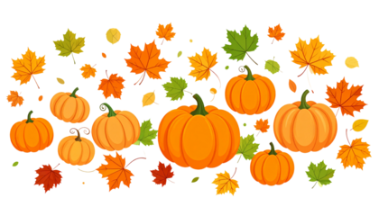all decor of pumpkins and leaves on white background, vector